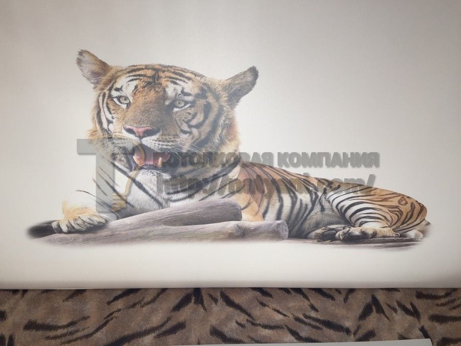 Потолки с фотопечатью под заказ в Балашихе